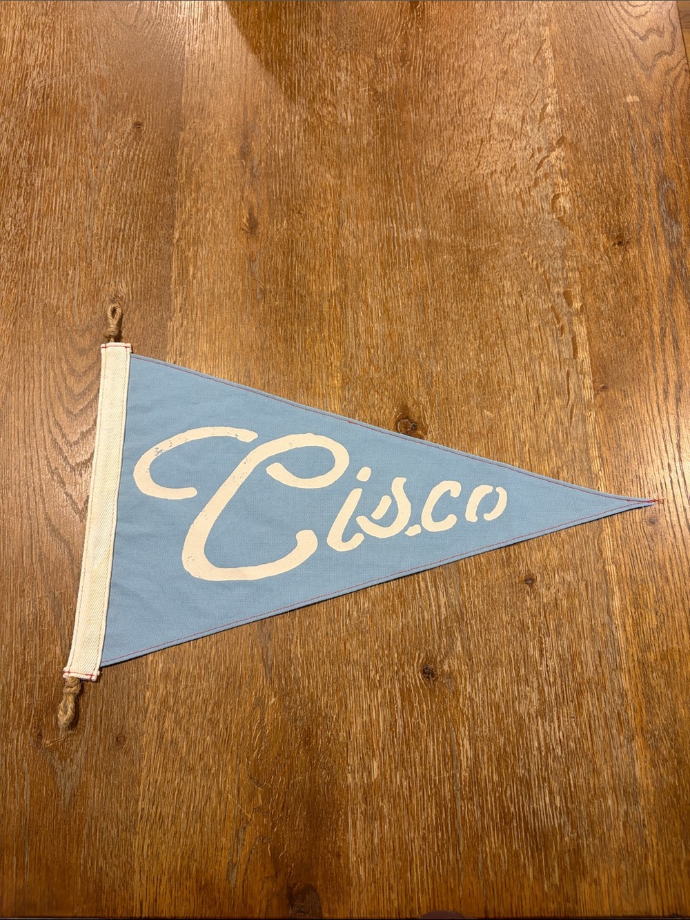 Cisco Nantucket - Slightly Choppy Pennant Banner
